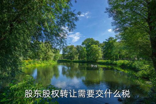 股东卖股票上什么税，卖股票要交什么税呢