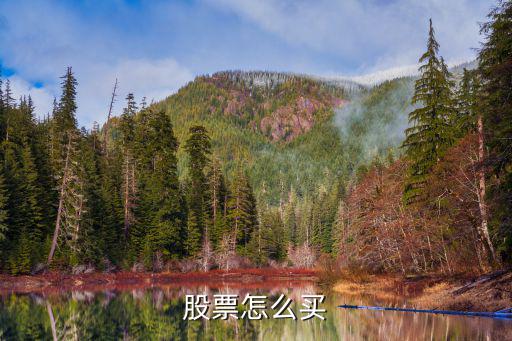 股票怎么买