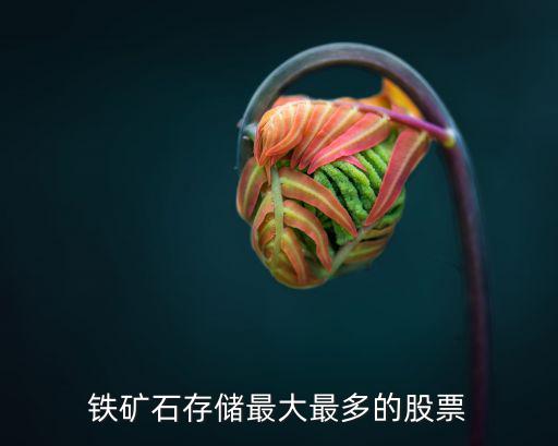 铁矿石存储最大最多的股票
