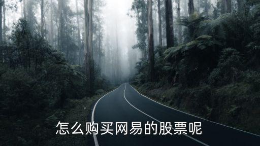 怎么购买网易的股票呢