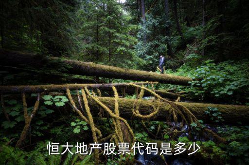 恒大地产股票代码是多少
