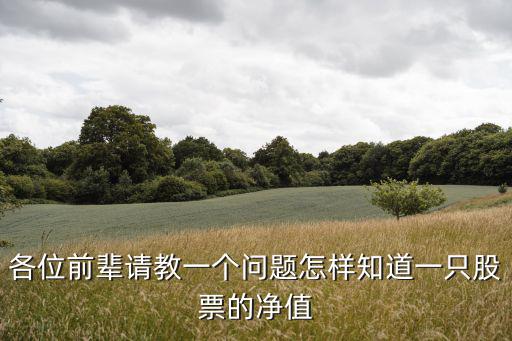 各位前辈请教一个问题怎样知道一只股票的净值