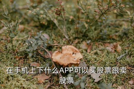 现在什么软件可以卖股票，在手机上下什么APP可以买股票跟卖股票