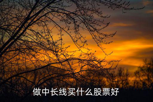 做中长线买什么股票好