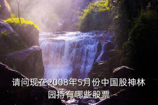请问现在2008年5月份中国股神林园持有哪些股票