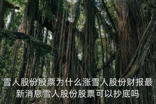 雪人股票什么时候解禁，雪人股份股票公告雪人股份还能进吗有人说下吗002639雪人股份