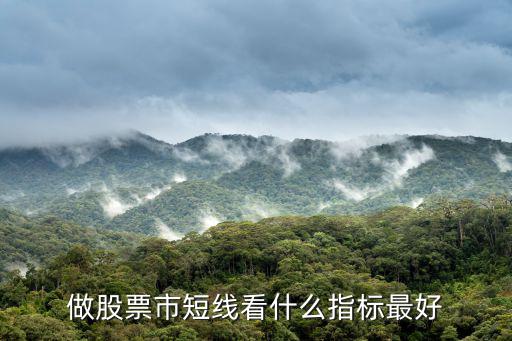 做股票市短线看什么指标最好