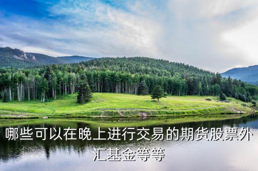 哪些可以在晚上进行交易的期货股票外汇基金等等