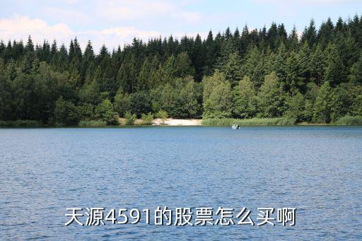 天源4591的股票怎么买啊