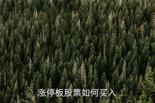 涨停板股票如何买入