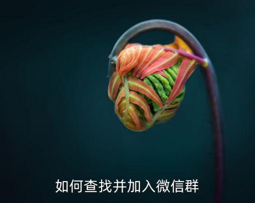 如何查找并加入微信群