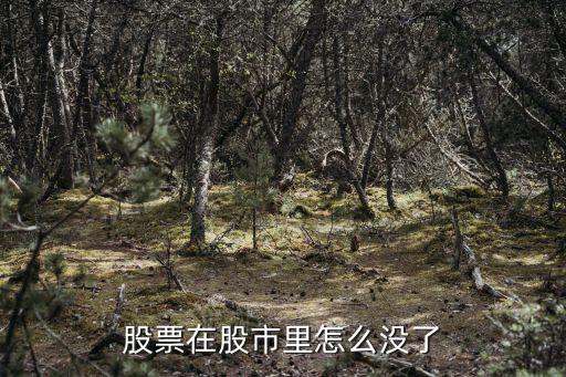 股票里面的股怎么没有了，股票怎么没有了