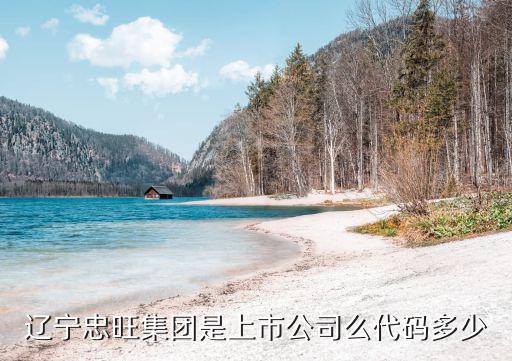 辽宁忠旺集团是上市公司么代码多少