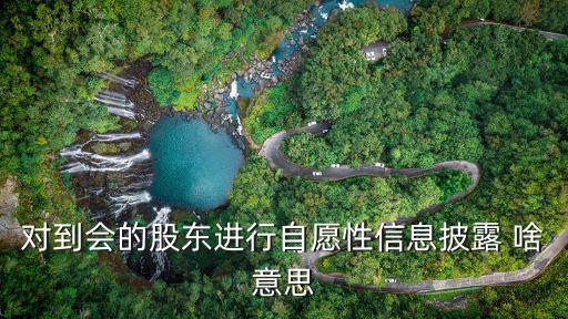 对到会的股东进行自愿性信息披露 啥意思