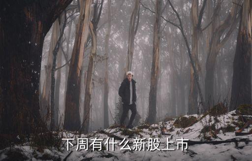 下周有什么新股上市