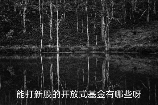 能打新股的开放式基金有哪些呀
