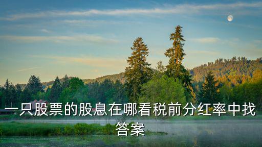 一只股票的股息在哪看税前分红率中找答案