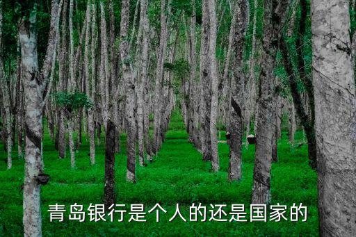 青岛银行是个人的还是国家的