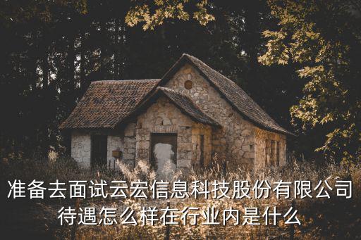 准备去面试云宏信息科技股份有限公司待遇怎么样在行业内是什么