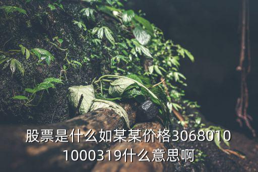 股票是什么如某某价格30680101000319什么意思啊