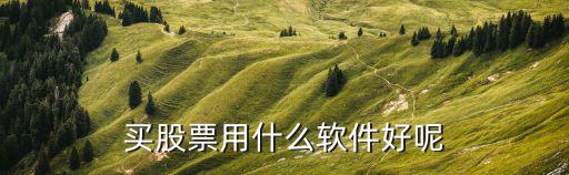 买股票用什么软件好呢