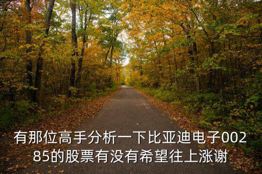 有那位高手分析一下比亚迪电子00285的股票有没有希望往上涨谢