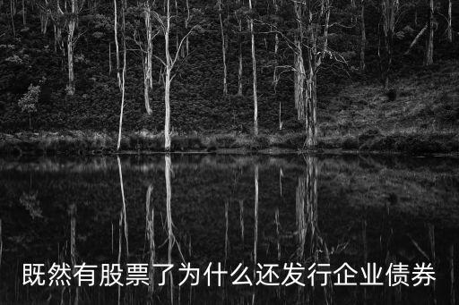 既然有股票了为什么还发行企业债券