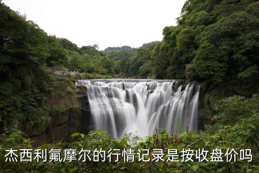 拍卖股票的风向是什么，利莫费尔 行情记录的价格 是收盘价吗