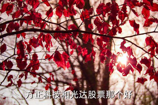 方正科技和光达股票那个好