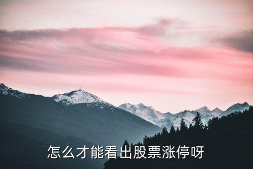 怎么才能看出股票涨停呀