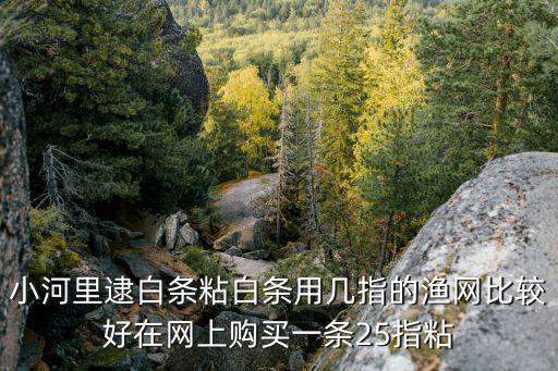 美的股票怎么买渔网，小河里逮白条粘白条用几指的渔网比较好在网上购买一条25指粘