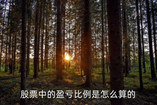 股票 盈亏 怎么计算，股票中的盈亏比例是怎么算的