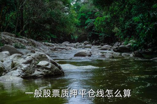 一般股票质押平仓线怎么算