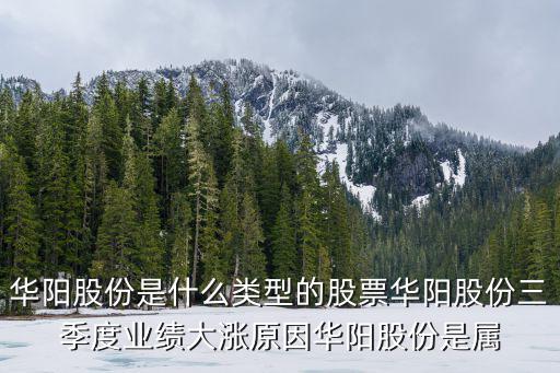 华阳股份是什么类型股票，华阳股份是什么板块股票龙头华阳股份股票业绩预测华阳股份股票是属于