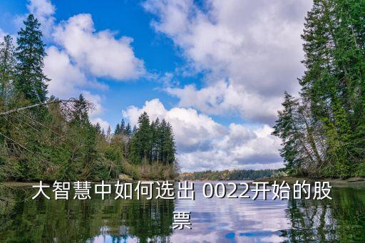 大智慧怎么筛选股票，辽宁信达证券大智慧怎么自选股票