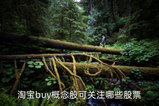 淘宝buy概念股可关注哪些股票