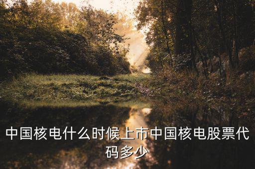 中国核电什么时候上市中国核电股票代码多少