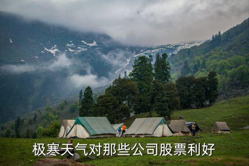 极寒天气对那些公司股票利好