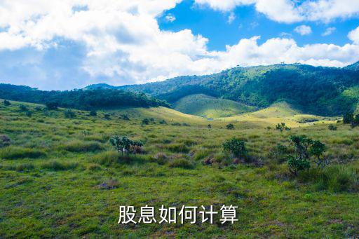 股息如何计算