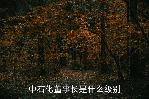中石化董事长是什么级别