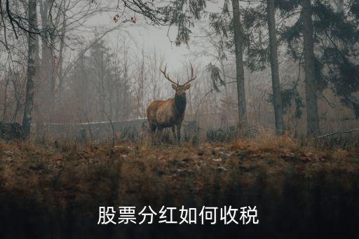 股票分红如何收税