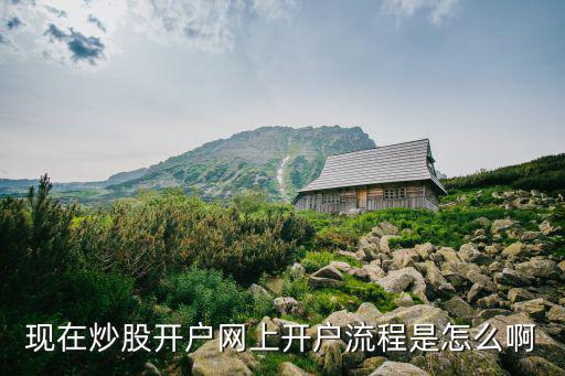 我有开祥股票怎么登录，股票网上开户流程是怎样的