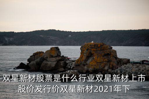 双星新材股票是什么行业双星新材上市股价发行价双星新材2021年下