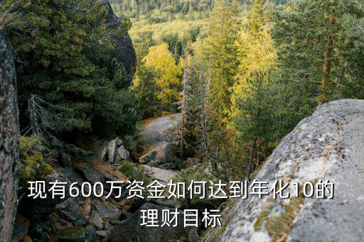 现有600万资金如何达到年化10的理财目标