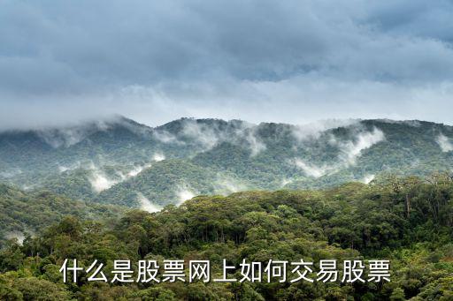 什么是股票网上如何交易股票