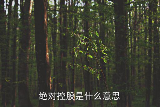 绝对控股是什么意思