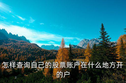 怎样查询自己的股票账户在什么地方开的户