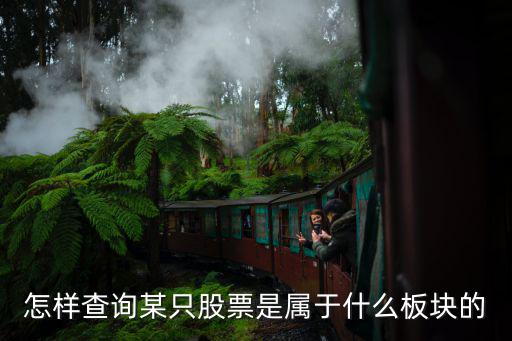 怎样查询某只股票是属于什么板块的