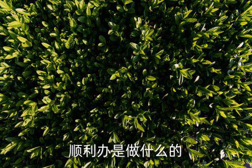 顺利办属于什么板块股票，顺利办是做什么的