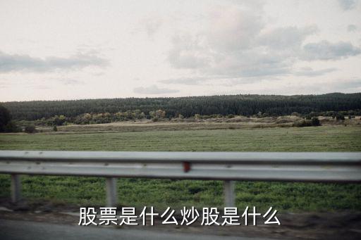 股票是什么炒股是什么